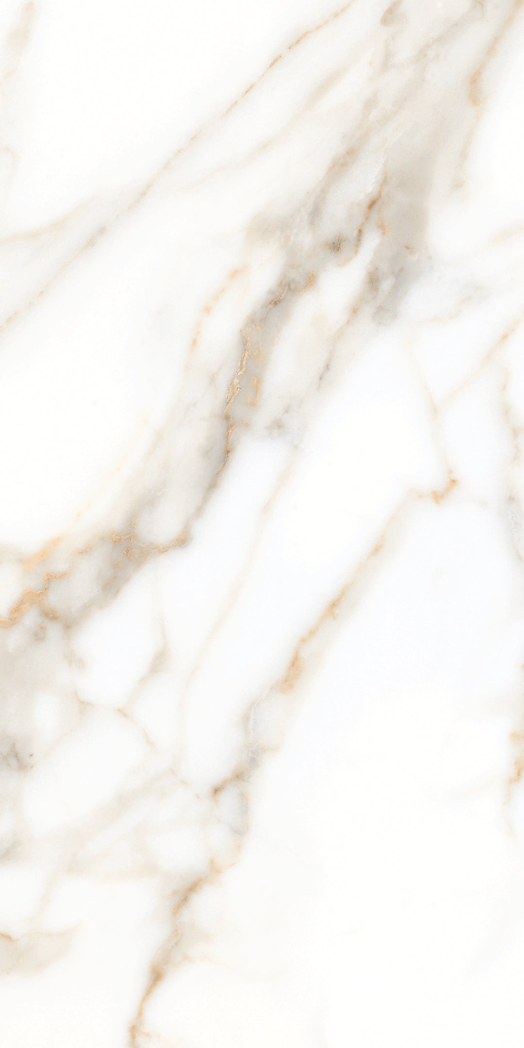 Gresie Oracle Gold 60×120
