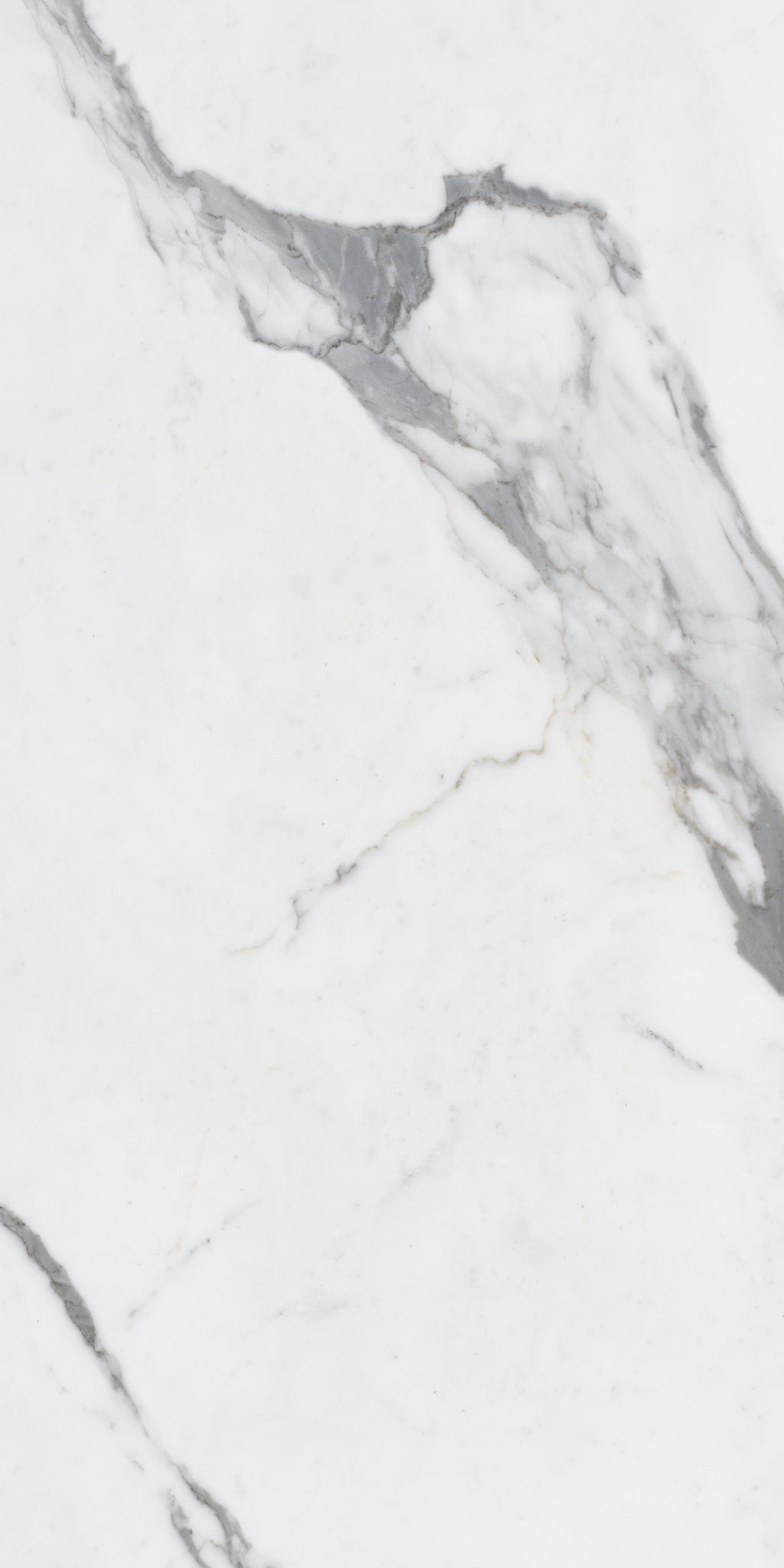 Gresie Statuario Oro - 60x120