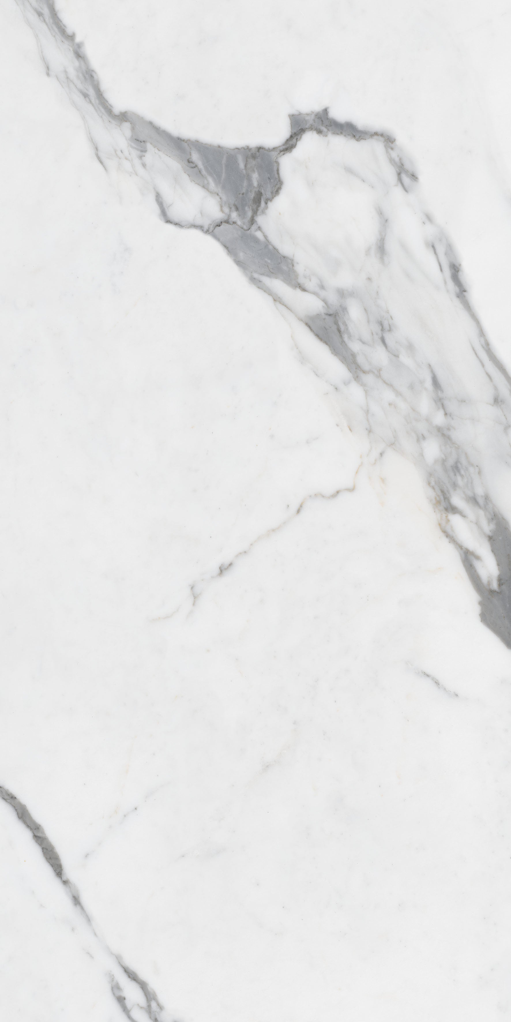 Gresie Statuario Oro - 60x120