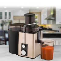 Storcător / Separator de Fructe 600 ml, 800 W